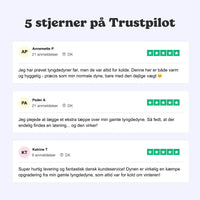Den Originale Hybriddyne™